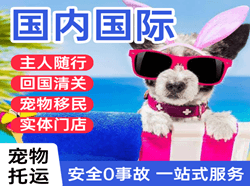 舟山普陀山空运公司国际宠物托运 【国